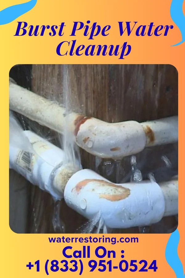 Burst Pipe Water Cleanup in Renaissance at Monroe, NJ