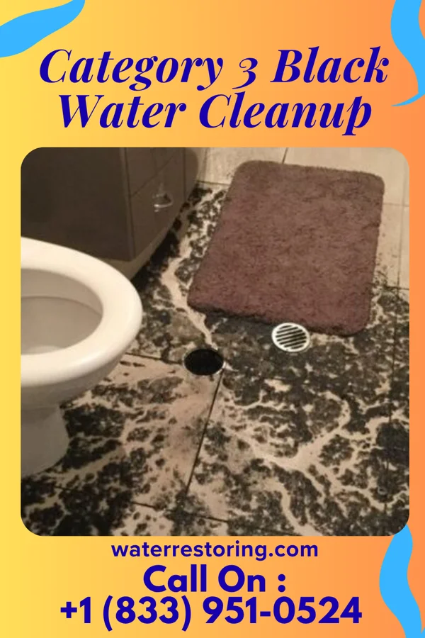 Category 3 Black Water Cleanup in Renaissance at Monroe, NJ