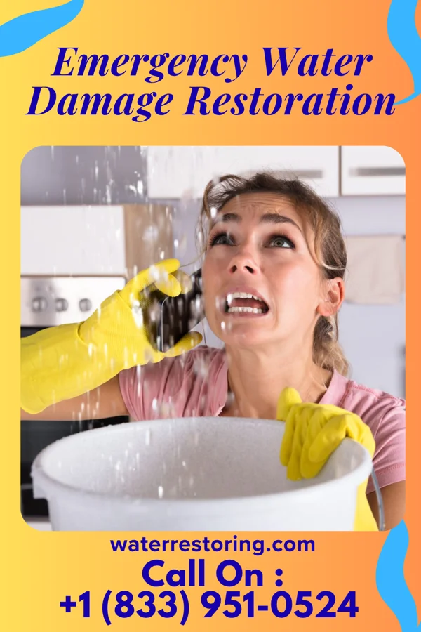 Emergency Water Damage Restoration in Renaissance at Monroe, NJ