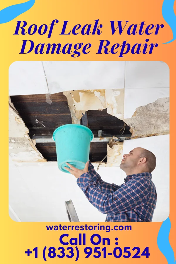 Roof Leak Water Damage Repair in Renaissance at Monroe, NJ