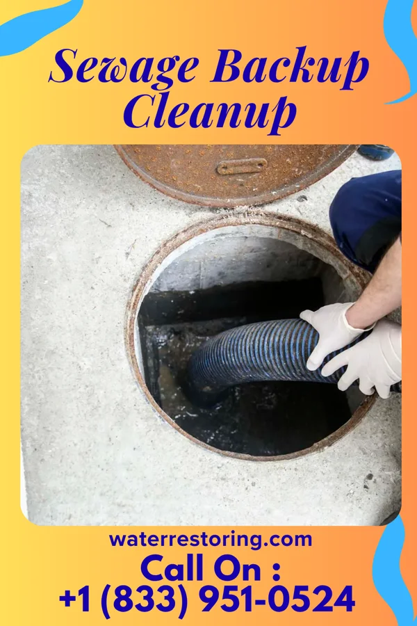 Sewage Backup Cleanup in Renaissance at Monroe, NJ
